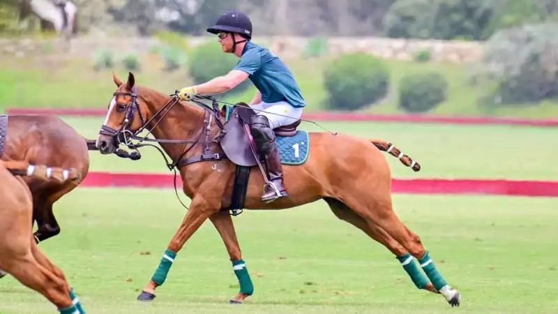 Prince Harry "gallops into the future" during polo competition in California: royal expert