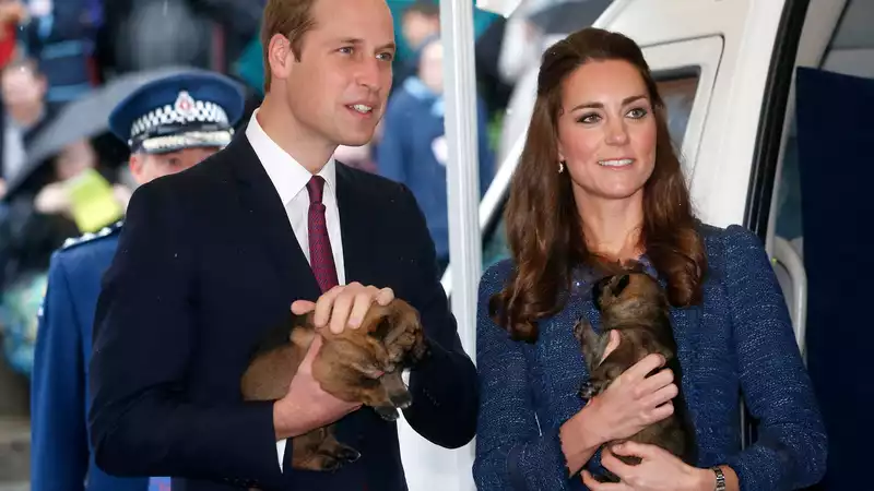 The Celtic name of Kate Middleton and Prince William's dog means "golden princess."