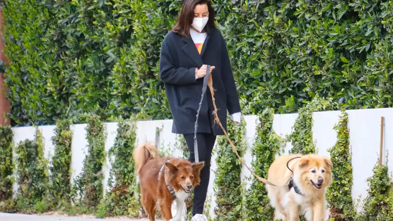 Aubrey Plaza's dog is completely beautiful.