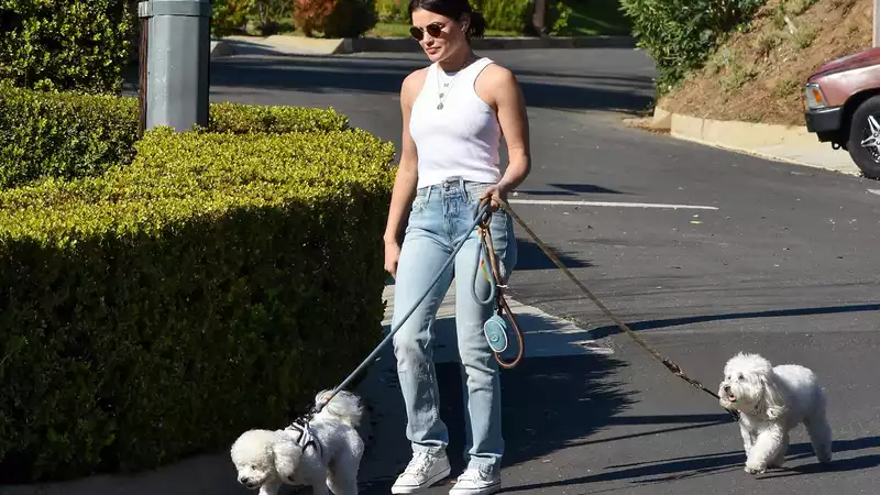 Lucy Hale impeccably wears a casual-chic look while walking her two dogs in LA