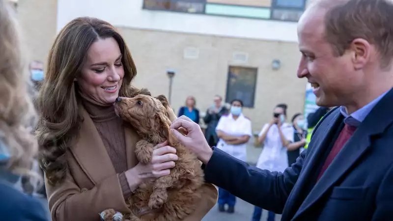 This therapy dog liked Kate Middleton better than Prince William.