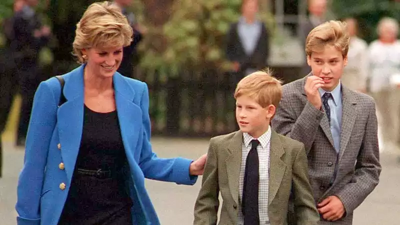 Prince William and Prince Harry would not have feuded if Princess Diana had lived, bodyguard says