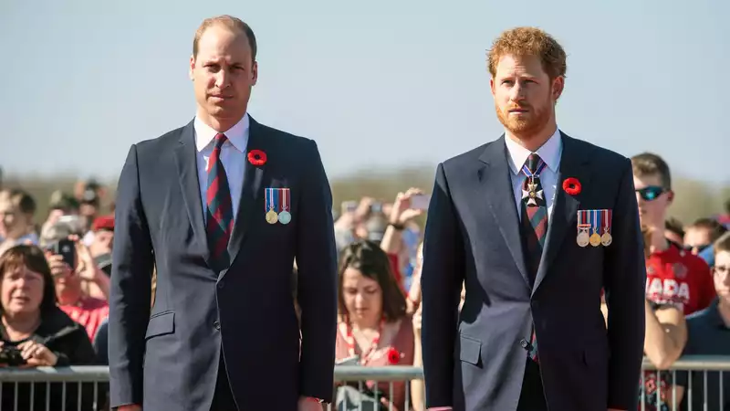 Prince Harry and Prince William Must Resolve Feud to Protect Monarchy, Royal Official Says