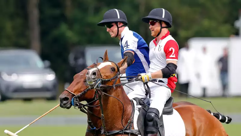 William and Harry reportedly in big fight at polo match in July