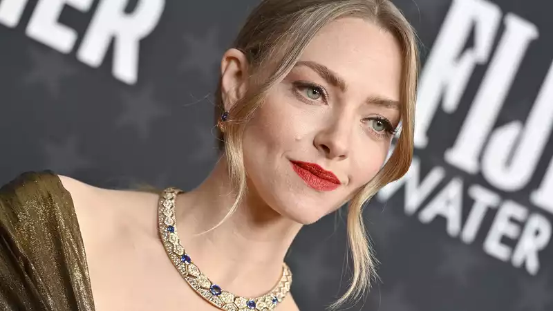 Amanda Seyfried's Critics Award Dress Continues to "Break"