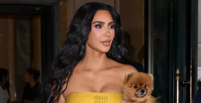 Kim Kardashian color coordinates Gigi Hadid's favorite Miu Miu top with matching Birkin and Pomeranian