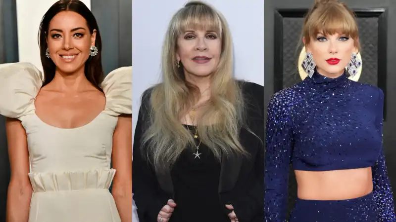 Aubrey Plaza, Stevie Nicks puts her own spin on Taylor Swift's endorsement of “childless catgirl” Kamala Harris