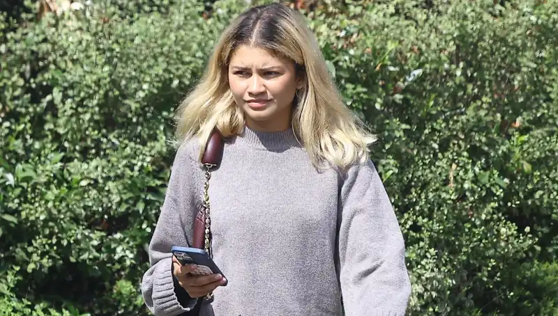 Zendaya styling a $4,100 Loewe bag with a basic sweater and sneakers