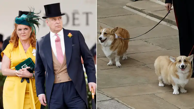 Queen Elizabeth's dog, a corgi, once terrorized Prince Andreu's home.